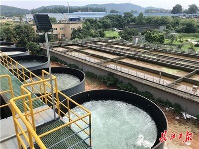 九峰明渠臨時污水處理設施高效運行，顯著削減入東湖污水量